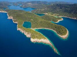 Aussicht von mljet Insel im Kroatien. das National Park Abdeckungen das Western Teil von das Insel, welche viele betrachten wie das die meisten verlockend im das Adria, voll von üppig und abwechslungsreich Mittelmeer Vegetation foto