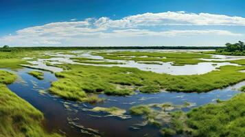 ai generiert fen Gezeiten Sumpf Landschaft foto