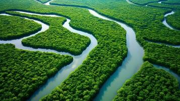 ai generiert Biodiversität Mangrove Wald Landschaft foto