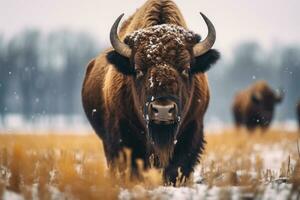 ai generiert Stier Stehen im das Schnee Wetter Bokeh Stil Hintergrund mit generativ ai foto