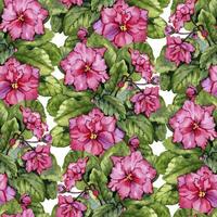 nahtlos Muster von Aquarell Saintpaulia Blumen. Blumen- botanisch Digital Papier foto