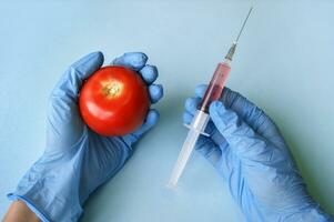 Tomate und Spritze mit gmo im Hände auf ein Blau Hintergrund. foto