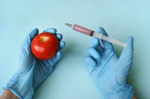 Tomate und Spritze mit gmo im Hände auf ein Blau Hintergrund. foto