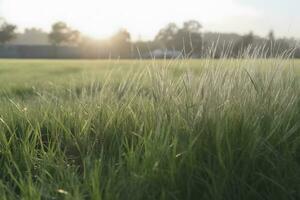 ai generiert Tropfen von Tau auf ein Grün Gras. neural Netzwerk ai generiert foto