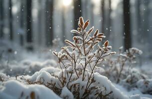 ai generiert Foto schneebedeckt Wald Landschaft im Winter still und heiter generiert durch ai