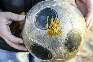 Ball ist im Hund Scheisse. das Ball angekuppelt. foto