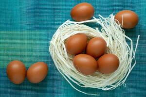 Eier Lüge auf das Dekor im das bilden von ein Nest. Eier Lüge im ein künstlich Nest auf ein Blau Hintergrund foto