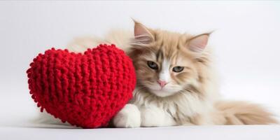 ai generiert Katze mit ein gestrickt Herz Kissen foto