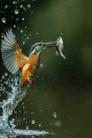 ai generiert ein groß Fisch ist fangen ein Eisvogel foto