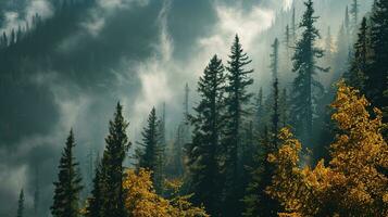 ai generiert das Land von Kiefer Bäume, Regen Wald, Nebel, Herbst Nebel foto