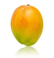 Mango isoliert auf weißem Hintergrund. Nationalfrucht von Indien.