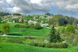 Frühling mit Blühen Obst Bäume im schwarz Wald, Baden württemberg,deutschland foto