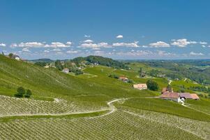 Weinberg Landschaft im Wein Region namens steirisch Toskana, Steiermark, Österreich foto