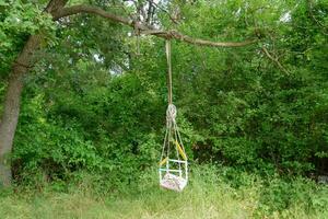 Kinder schwingen auf ein Ast von ein alt Baum. Kinder- Freizeit im das Garten. foto