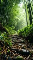 ai generiert neblig Morgen auf ein abgelegen Bambus Wald Pfad foto