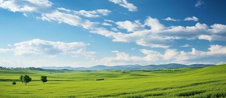 ai generiert natürlich szenisch Panorama Grün Feld. generieren ai foto