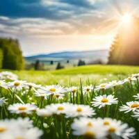 ai generiert Ruhe im blühen von Frühling Gänseblümchen Blumen über Grün Aussichten foto