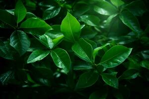ai generiert dynamisch Schönheit fesselnd Bild von Grün Blätter anmutig suspendiert im das Luft ai generiert foto
