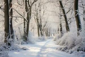 ai generiert Winter Gehen Pfad und Bäume bedeckt mit Reif Frost. foto