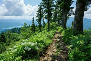 ai generiert oben von das Berg Wandern Fachmann Fotografie foto