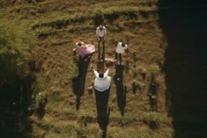 ai generiert Antenne Aussicht von ein Gruppe von Menschen Gehen im das Landschaft, ai generiert foto