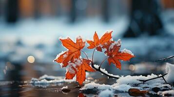 ai generiert knackig Herbst Blätter kantig mit Frost, klammern zu ein Ast gegen das Sanft Licht von ein Winter Dämmerung. foto