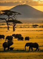 ai generiert Welttag der Tierwelt Foto Tier Natur undomestiziert im grasig Savanne beim Sonnenuntergang generativ ai