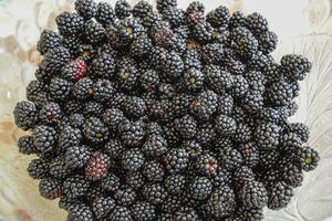 Teller mit Beeren schwarz Brombeeren foto