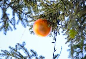 Dekorationen Neu Jahr Baum. Lametta und Spielzeuge, Bälle und andere Dekorationen auf das Weihnachten Weihnachten Baum Stehen im das öffnen Luft. foto