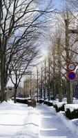 ein schneebedeckt Straße mit Bäume und Zeichen foto