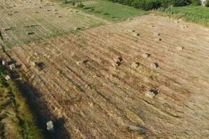 rechteckig Ballen von Heu auf das Feld. Heu foto