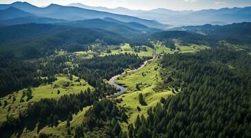 ai generiert Landschaft mit Bäume, Wald Sicht, tropisch Wald Sicht, Pflanzen und Bäume foto