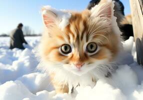 ai generiert Kätzchen auf schneebedeckt Boden. Winter Zeit foto