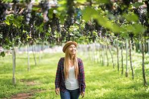 glückliche junge Gärtnerin, die Zweige der reifen blauen Traube hält foto