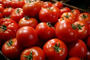 ai generiert Schublade Fülle ein vielfältig Sammlung von rundlich, saftig Geschäft Tomaten foto