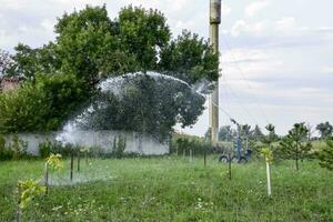 Bewässerung System Bewässerung im das Garten. Bewässerung das Sämlinge im das Park. Bewässerung das Felder. Sprinkler. foto