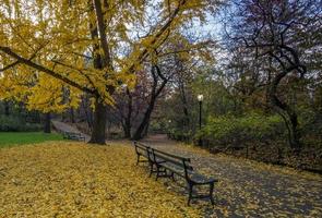 Herbst im Central Park foto