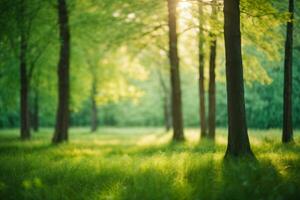 ai generiert defokussiert Grün Bäume im Wald oder Park mit wild Gras und Sonne Balken. schön Sommer- Frühling natürlich Hintergrund foto