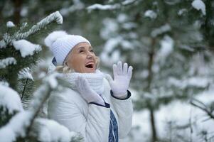 nett alt Frau im ein Pelz Mantel im das Winter foto