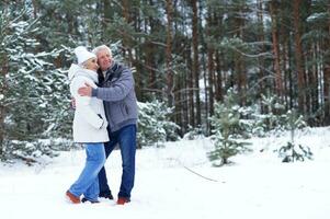 glücklich Senior Paar beim schneebedeckt Winter Park foto