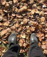 Beine beschlagen im Galoschen gegen das Hintergrund von gefallen Blätter. foto