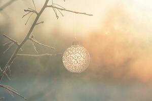 Weihnachten Ball auf Baum draußen, kreativ Foto, Neu Jahr, Weihnachten foto