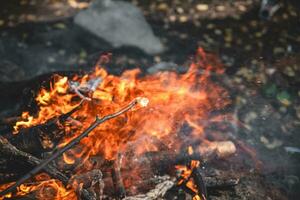 Marshmallows auf ein Stock sind gehaltenen Über ein Feuer foto