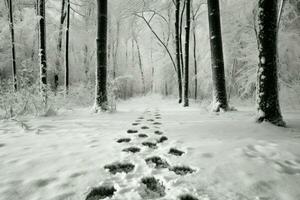 ai generiert schneebedeckt Fußabdrücke - - generativ ai foto