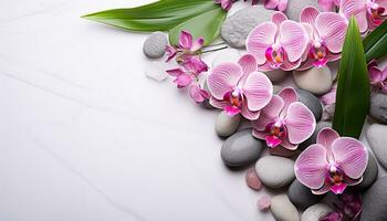 ai generiert Frische und Schönheit im Natur, lila Orchidee blühen generiert durch ai foto
