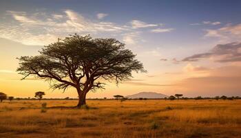 ai generiert Silhouette von Akazie Baum im afrikanisch Sonnenuntergang generiert durch ai foto