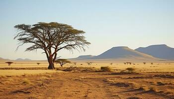 ai generiert afrikanisch Landschaft, trocken Savanne, Akazie Baum, extrem Hitze generiert durch ai foto