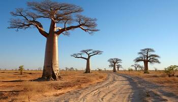 ai generiert Silhouette von Akazie Baum im trocken afrikanisch Landschaft generiert durch ai foto