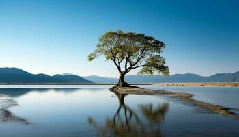 ai generiert still Szene von Wasser spiegelt Berg Schönheit generiert durch ai foto