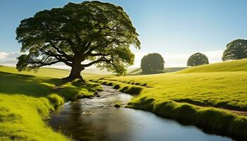 ai generiert still Wiese, Grün Baum, Sonnenuntergang Über das Landschaft generiert durch ai foto